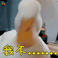 萌宠 鸭 拒绝 我不 不 soogif soogif出品