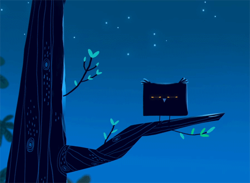 动漫 猫头鹰 夜晚