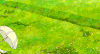 唯美意境 风景 花朵 草地