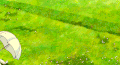 唯美意境 风景 花朵 草地
