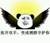 金馆长 熊猫 翅膀 咧嘴 张开双手 变成翅膀 守护你