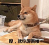 厉害 二汪 搞笑 滑稽