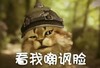 猫咪 牙齿 大小眼 看我嘲讽脸