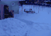 2b青年欢乐多 雪地 雪泳 好玩
