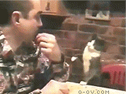 可爱 呆萌 搞笑 快乐