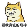 狗狗 暴漫 搞笑 雷人 斗图 看我真诚的眼神