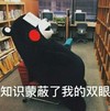 知识蒙蔽了我的双眼 熊本熊 恶搞 看书