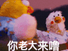 小鸡 卡通 大眼睛 黄色 你老大来噜
