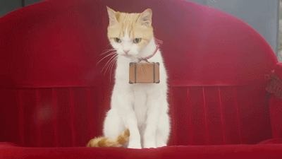 温泉猫 广告 日本 黄包车