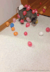 猫咪 气球 整蛊 搞笑