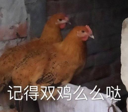 搞笑 沙雕 魔性 文字表情包 逗