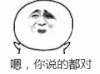 对对 嗯 你说的都对