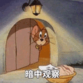 老鼠 暗中观察