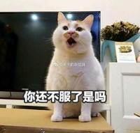 文字表情包 搞笑 逗 蠢萌 猫星人