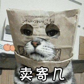 貓咪 賣萌 賣寄幾