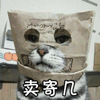 猫咪 卖萌 卖寄几 可爱 呆萌