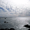 海滩 自然 海岸 加州 天空 礁石 beach nature