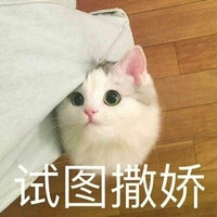 猫咪 试图撒娇 大眼睛 惹人爱