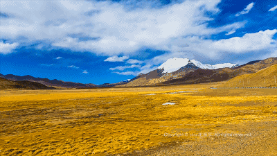 西藏 静谧 花海 神圣 净土 蓝天 白云 美腻
