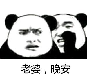 金管长 熊猫头 皱眉 老婆晚安