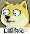 目瞪狗呆 狗狗 惊讶 吃惊