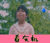 sunshine 看灰机