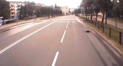 开车 猫咪 撞飞 速度