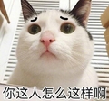 猫咪 喵星人 你这人怎么这样啊 可爱 萌萌哒