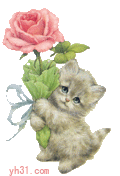 猫咪 花朵 可爱 动图