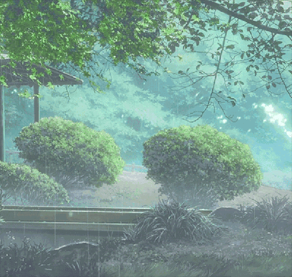 下雨 树木 绿叶 风景