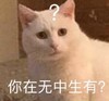 萌宠 喵星人 你在无中生有 问号 呆萌 搞怪