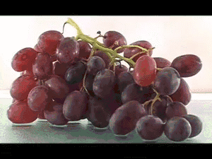 葡萄 grape 干了 脱水