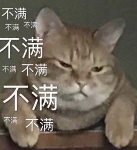 猫咪 不满 不开心 无聊