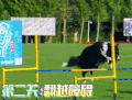 萌主来了