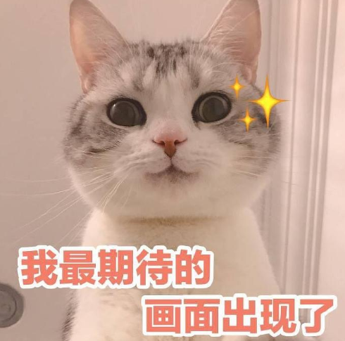 搞笑 可爱 蠢萌 猫星人 逗