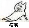 瘦宅 斗图 搞笑 猥琐