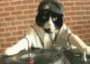 猫 打碟 DJ 喵星人