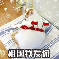 等放假 国庆节 可爱 文字表情包 喵星人