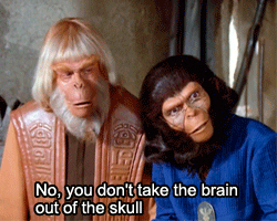 猩球崛起 科幻 万达 人猿星球 大猩猩