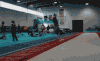 体操 gymnastics 进洞 运动