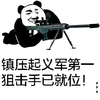 熊猫头 镇压起义军 狙击手 斗图 搞笑 猥琐