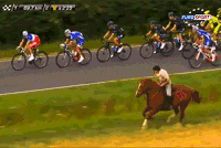 环法自行车赛 马  飞奔 旁观 搞笑