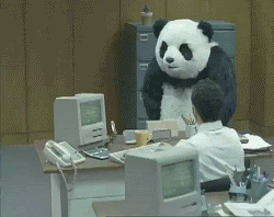 办公室 工作 熊猫 摔东西