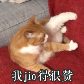 猫咪 我觉得 赞 jio