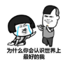 搞笑 魔性 沙雕 文字表情包 逗 为什么你会认识世界上最好的我