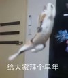 拜年 猫咪 喵星人 跳跃 搞笑