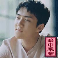 吴世勋 抿嘴 可爱 暗中观察
