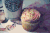 咖啡 coffee food 星巴克