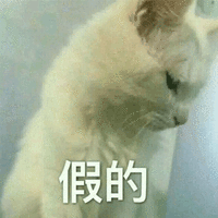 萌宠 喵星人 猫 假的 搞怪 可爱