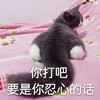 萌宠 猫星人 你打吧 撒娇 可爱